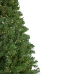 Northlight 7.5' Pre-lit Medium Deer River Spruce LED Artificial Christmas Tree - Warm White Lights -Northlight Shop northlight z16062 2 43065.1587644175