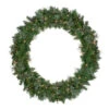 Northlight Pre-Lit Mixed Cashmere Pine Artificial Christmas Wreath - 48-Inch, Clear Lights