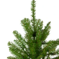 Northlight 10' Full Northern Pine Artificial Christmas Tree - Unlit 9 Northlight 10' Full Northern Pine Artificial Christmas Tree - Unlit -Northlight Shop northlight z84652 2 59361.1664380277