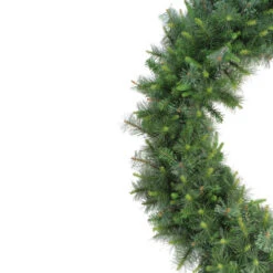 Northlight Ashcroft Cashmere Pine Commercial Size Artificial Christmas Wreath - 60-Inch, Unlit 7 Northlight Ashcroft Cashmere Pine Commercial Size Artificial Christmas Wreath - 60-Inch, Unlit -Northlight Shop northlight z99330 1 07218.1674726304