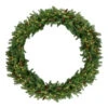 Northlight Pre-Lit Dakota Red Pine Commercial Artificial Christmas Wreath - 60-Inch, Warm White LED Lights -Northlight Shop northlight z99439 32335.1588349655