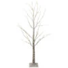 Northlight 4' Pre-Lit LED White Birch Tree Outdoor Decoration - White Lights -Northlight Shop northlightd 14 38471wae 59014.1587644044