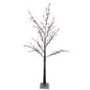 Northlight 6' Pre-Lit LED Brown Artificial Christmas Tree- Multi-Colored Lights -Northlight Shop northlightd 17 11437wae 6 67883.1587644173