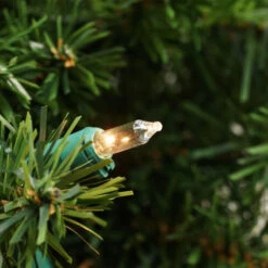 24" Pre-Lit Canadian Pine Artificial Christmas Wreath - Clear Lights -Northlight Shop opi1wsbqmmneerofddjh6byhwnlknhuf 60528.1588370843