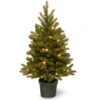 Christmas Central 3' Pre-lit Potted Jersey Fraser Fir Artificial Christmas Tree, White LED Lights 1 Christmas Central 3' Pre-lit Potted Jersey Fraser Fir Artificial Christmas Tree, White LED Lights -Northlight Shop pejf1 306 30 b 38772.1664380271