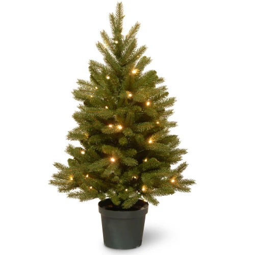 Christmas Central 3' Pre-lit Potted Jersey Fraser Fir Artificial Christmas Tree, White LED Lights 3 Christmas Central 3' Pre-lit Potted Jersey Fraser Fir Artificial Christmas Tree, White LED Lights