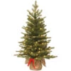 Christmas Central 3' Pre-lit Potted Nordic Spruce Artificial Christmas Tree, Warm White LED Lights 2 Christmas Central 3' Pre-lit Potted Nordic Spruce Artificial Christmas Tree, Warm White LED Lights -Northlight Shop pens3 357 30 bs 61527.1588357207