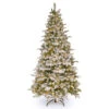 Christmas Central 6.5’ Pre-Lit Snowy Everest Fir Artificial Christmas Tree, Clear Lights -Northlight Shop pev3 311 65 08005.1588371430