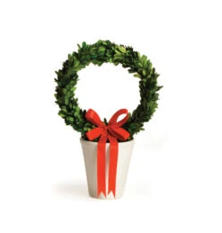 15" Cream White And Green Contemporary Artificial Christmas Wreath In Planter Pot - Unlit