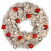 Christmas Central Pre-Lit Snowy Bristle Pine Wreath, 30-Inch, Warm White LED Lights 2 Christmas Central Pre-Lit Snowy Bristle Pine Wreath, 30-Inch, Warm White LED Lights -Northlight Shop snp7 308 30w b1 54515.1588348966