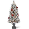 Christmas Central 4’ Pre-Lit Potted Snowy Bristle Pine Artificial Christmas Tree, Clear Lights 2 Christmas Central 4’ Pre-Lit Potted Snowy Bristle Pine Artificial Christmas Tree, Clear Lights -Northlight Shop snp7 308 40 88210.1588348967