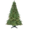 Northlight 15' Pre-Lit Canadian Pine Commercial Artificial Christmas Tree - Warm White Lights 1 Northlight 15' Pre-Lit Canadian Pine Commercial Artificial Christmas Tree - Warm White Lights -Northlight Shop vjphdc9al2mkq97p4uob5tsvjuht3qe5 81723.1665610423