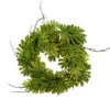 Philodendron Leaves And Twigs Artificial Tropical Wreath - 26-Inch, Unlit
